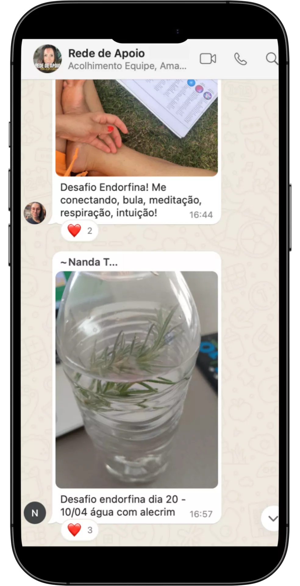 Rede de Apoio