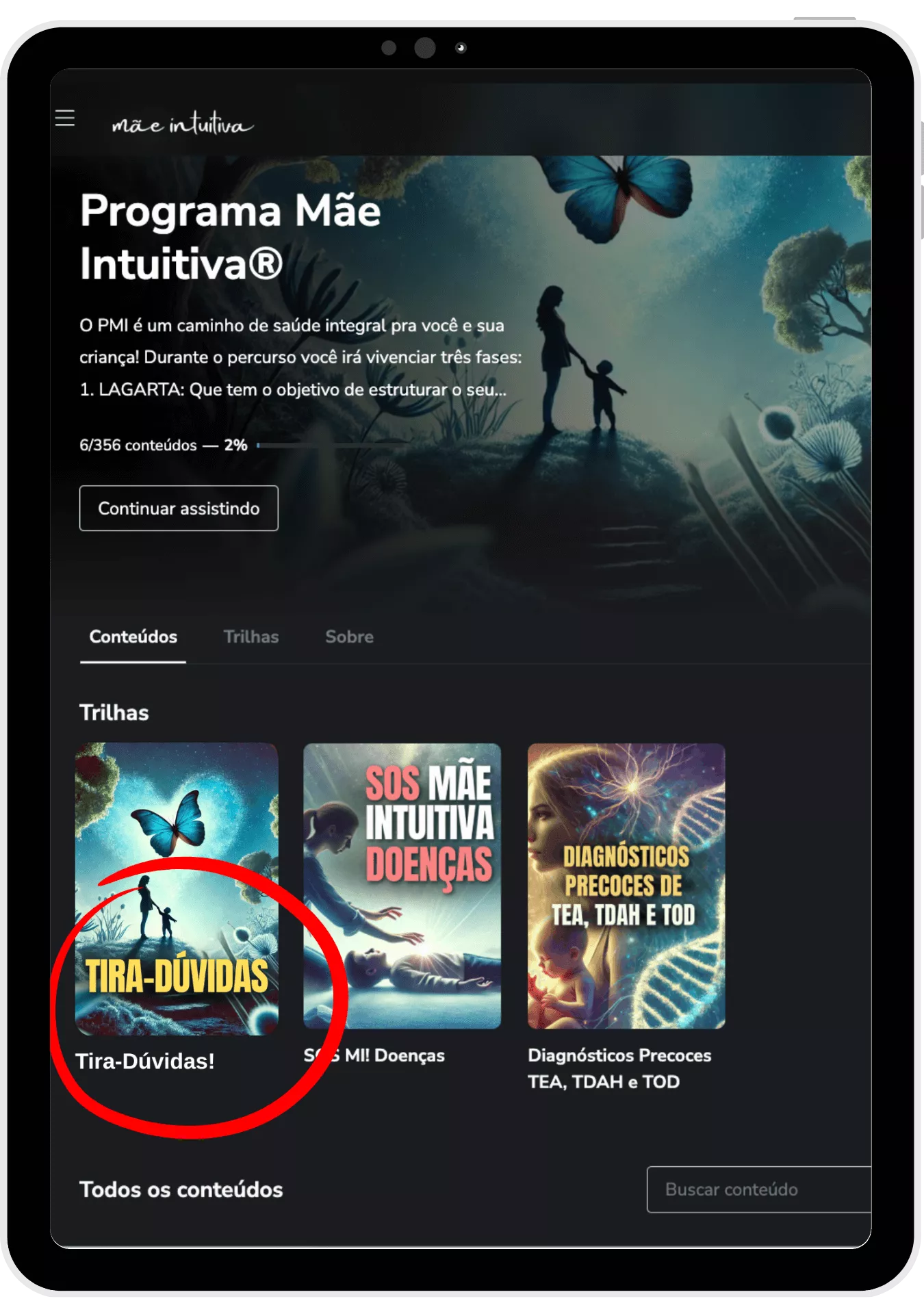 Tira-dúvidas PMI